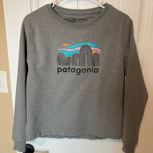 Patagonia sweatshirt